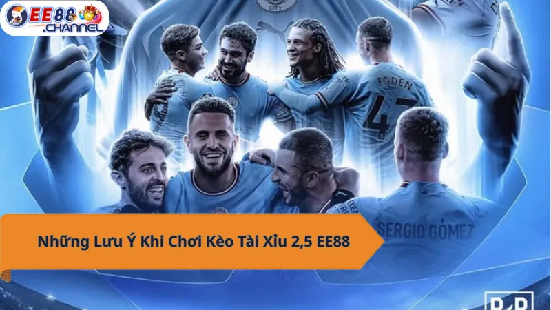Lưu ý kèo tài xỉu 2.5 EE88.